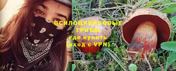 spice Алзамай
