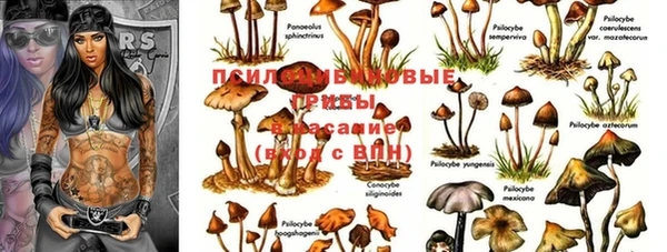 наркотики Абаза