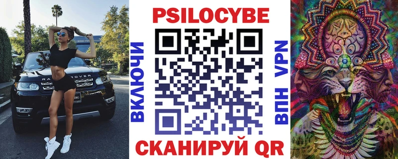 купить   Кохма  Псилоцибиновые грибы GOLDEN TEACHER 
